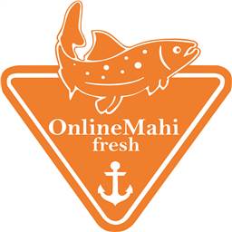 فروشگاه اینترنتی آنلاین ماهی